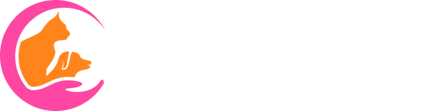 King Pet's Food
