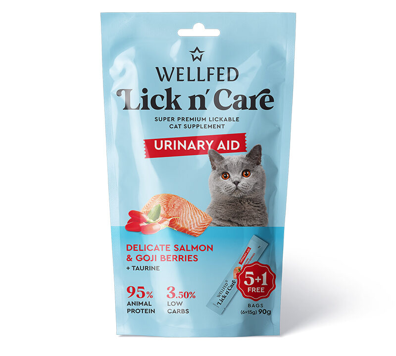 Lick n’care - Salmon 90 gr